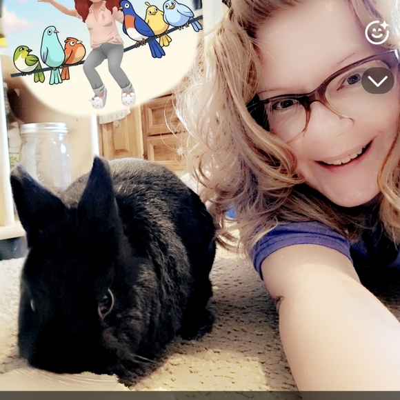 🐰SALE🐰 10mm Golden Black Agate Bracelet - Picture 11 of 12